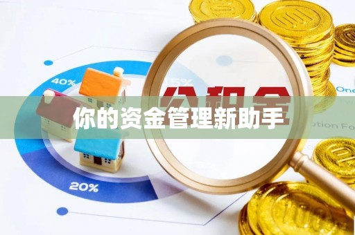 岚山你的资金管理新助手