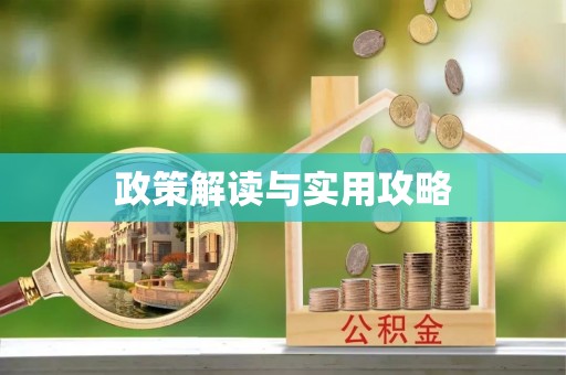 岚山政策解读与实用攻略