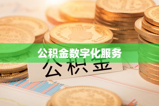 岚山公积金数字化服务