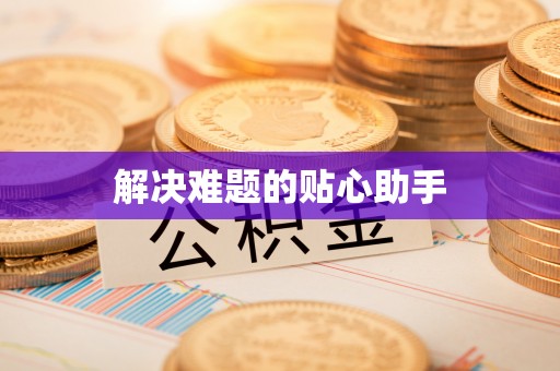 岚山解决难题的贴心助手