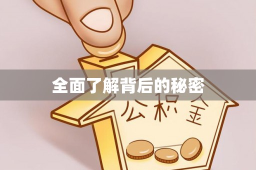 岚山全面了解背后的秘密