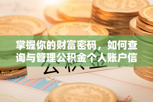 岚山掌握你的财富密码，如何查询与管理公积金个人账户信息