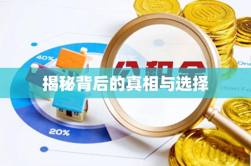 岚山揭秘背后的真相与选择