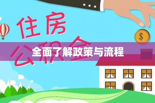 岚山全面了解政策与流程