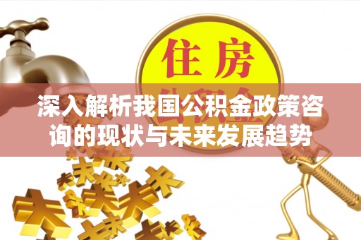 岚山深入解析我国公积金政策咨询的现状与未来发展趋势