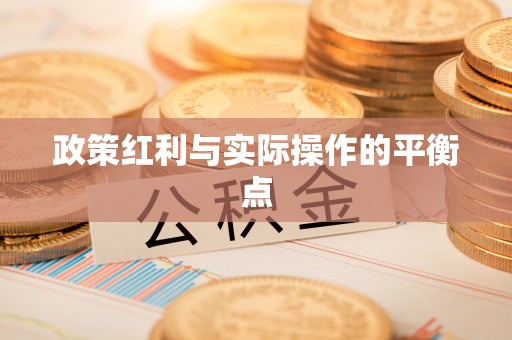 岚山政策红利与实际操作的平衡点