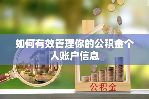 岚山如何有效管理你的公积金个人账户信息