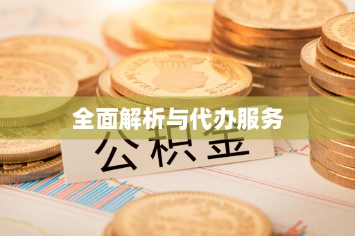 岚山全面解析与代办服务