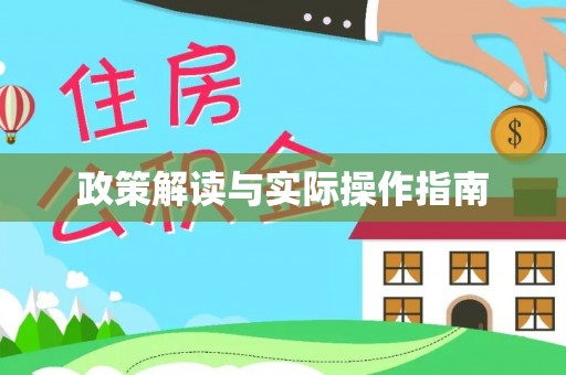 岚山政策解读与实际操作指南