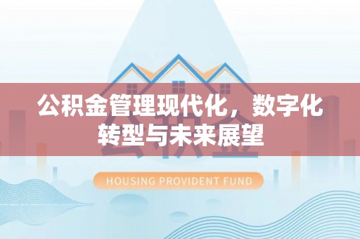 岚山公积金管理现代化，数字化转型与未来展望