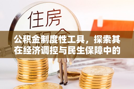 岚山公积金制度性工具，探索其在经济调控与民生保障中的重要作用