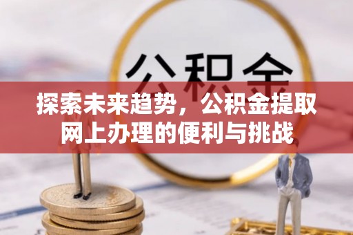 岚山探索未来趋势，公积金提取网上办理的便利与挑战