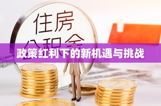 岚山政策红利下的新机遇与挑战