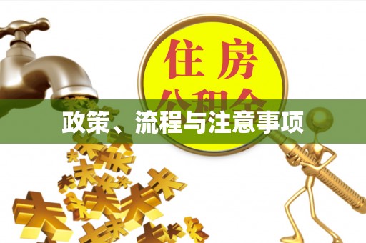 岚山政策、流程与注意事项