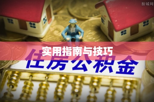 岚山实用指南与技巧