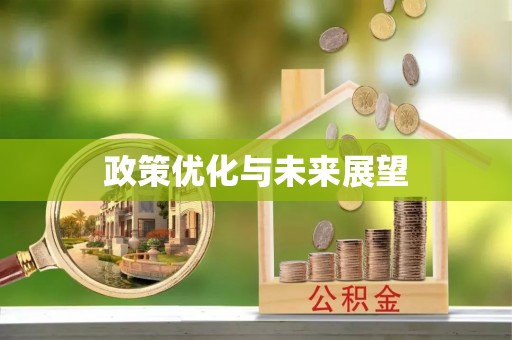 岚山政策优化与未来展望