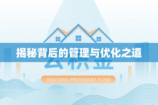 岚山揭秘背后的管理与优化之道