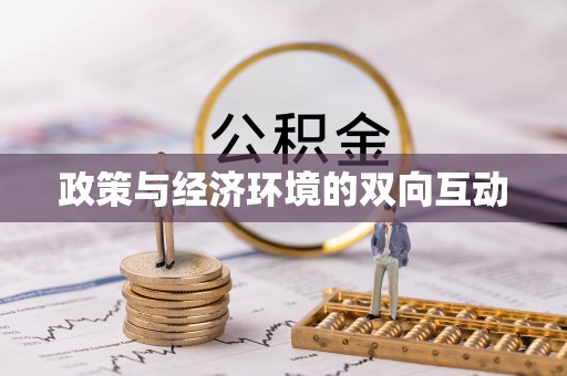 岚山政策与经济环境的双向互动