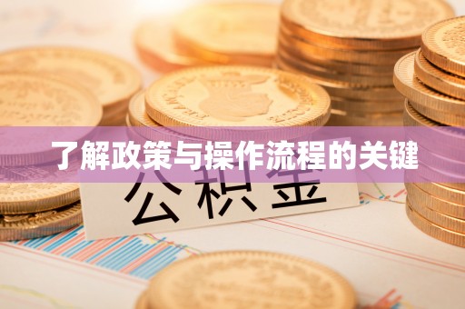 岚山了解政策与操作流程的关键