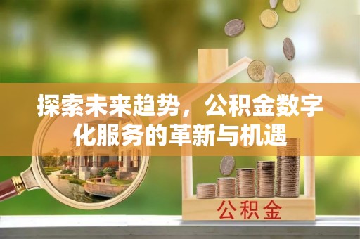 岚山探索未来趋势，公积金数字化服务的革新与机遇