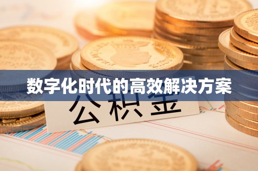 岚山数字化时代的高效解决方案