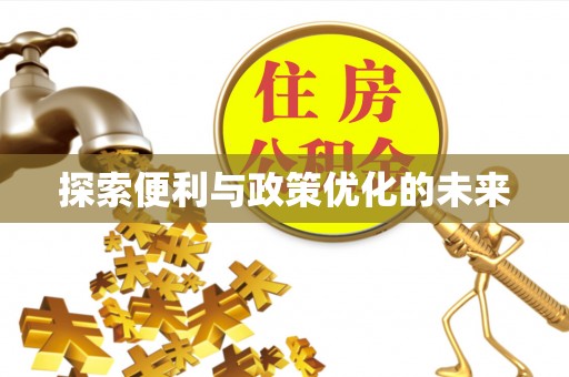 岚山探索便利与政策优化的未来