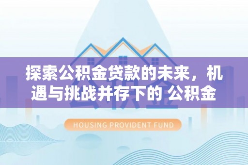 岚山探索公积金贷款的未来，机遇与挑战并存下的 公积金贷款风险防控