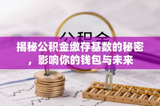 岚山揭秘公积金缴存基数的秘密，影响你的钱包与未来