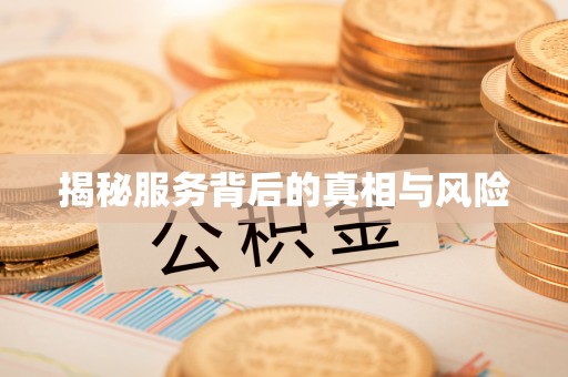 岚山揭秘服务背后的真相与风险