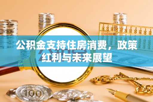岚山公积金支持住房消费，政策红利与未来展望