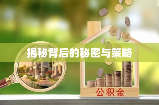 岚山揭秘背后的秘密与策略
