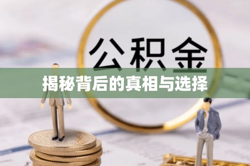 岚山揭秘背后的真相与选择