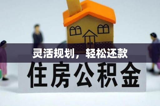 岚山灵活规划，轻松还款