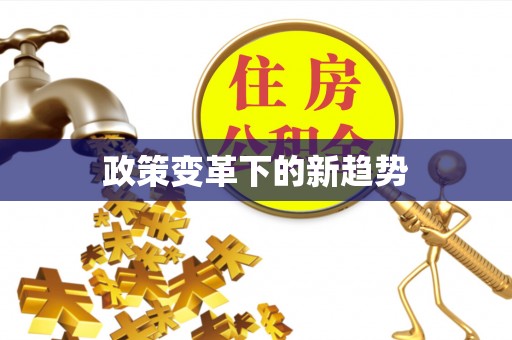 岚山政策变革下的新趋势