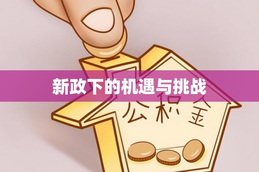 岚山新政下的机遇与挑战