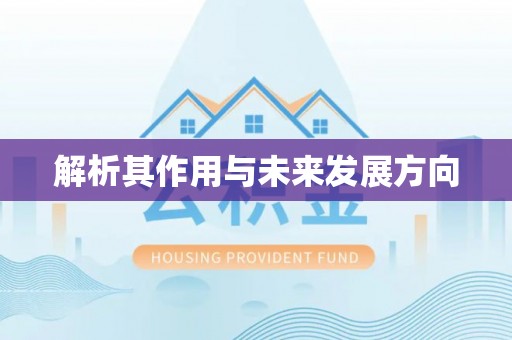 岚山解析其作用与未来发展方向