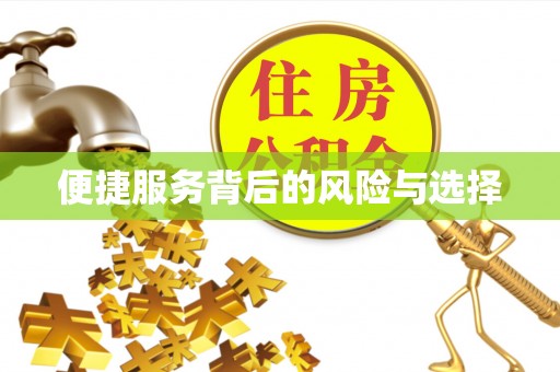岚山便捷服务背后的风险与选择