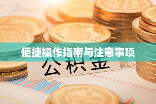 岚山便捷操作指南与注意事项
