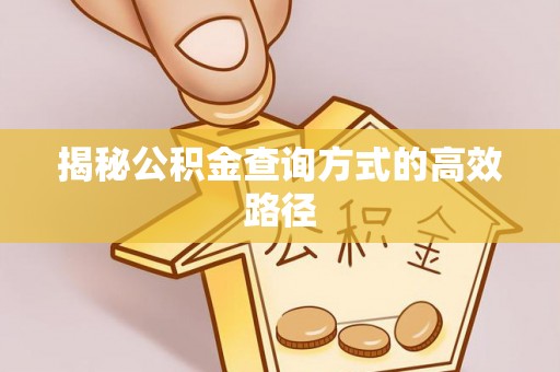 岚山揭秘公积金查询方式的高效路径