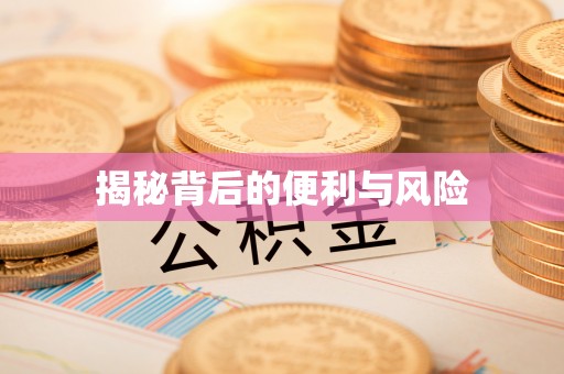 岚山揭秘背后的便利与风险