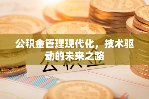 岚山公积金管理现代化，技术驱动的未来之路