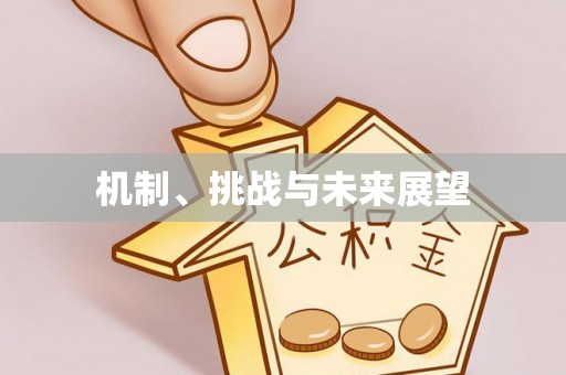 岚山机制、挑战与未来展望